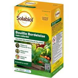 Bouillie Bordelaise BIO