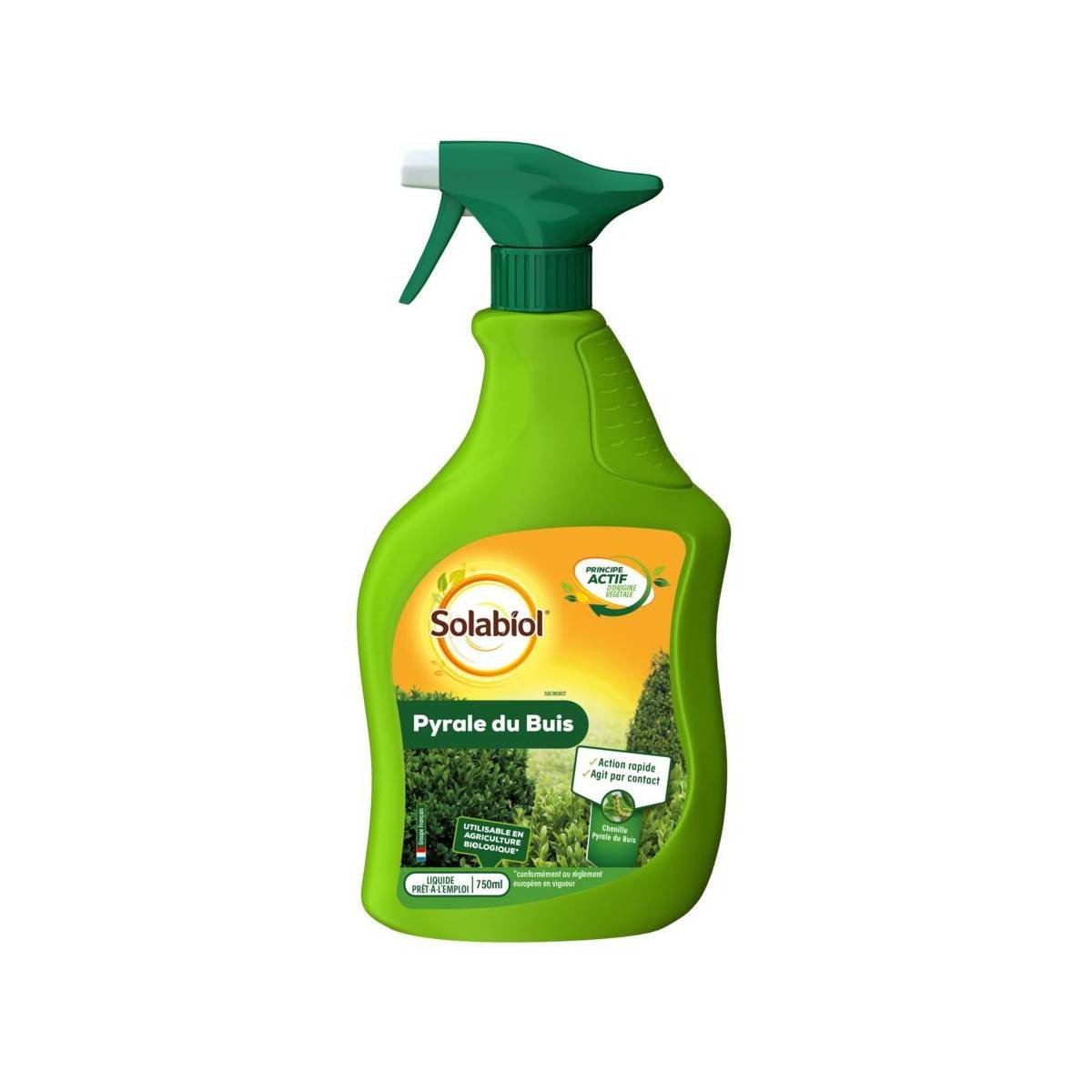 Pyrale du Buis BIO