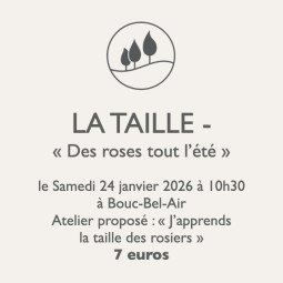 Atelier jardinage LA TAILLE – Taille des rosiers à Bouc-Bel-Air | Pépinière Faure