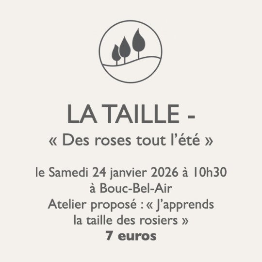 copia de copia de copia de Atelier jardinage - La Bouture