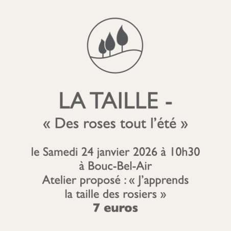 copia de copia de copia de Atelier jardinage - La Bouture