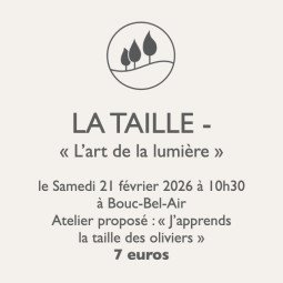 Atelier jardinage LA TAILLE – Taille des oliviers à Bouc-Bel-Air | Pépinière Faure