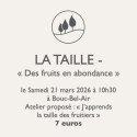 Atelier jardinage - La Taille