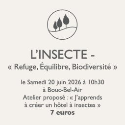 Atelier jardinage - L'Insecte