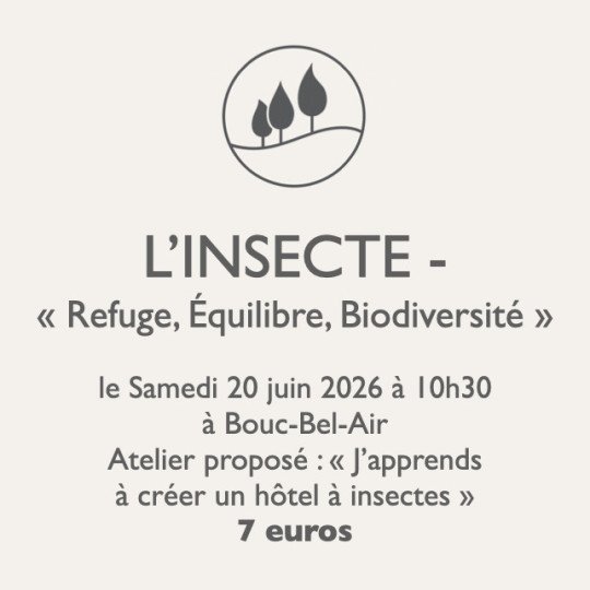 Atelier jardinage - L'Insecte